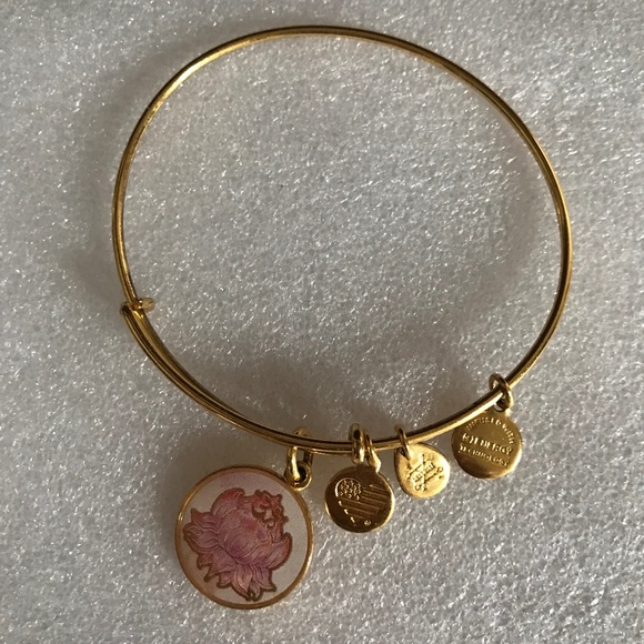 Alex and Ani Expandable Wire Bracelet - Picture 1 of 12